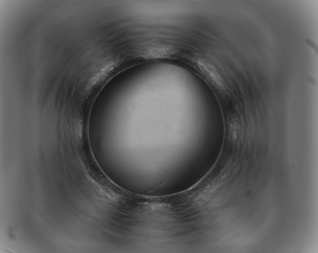 X0000091570539200708271200