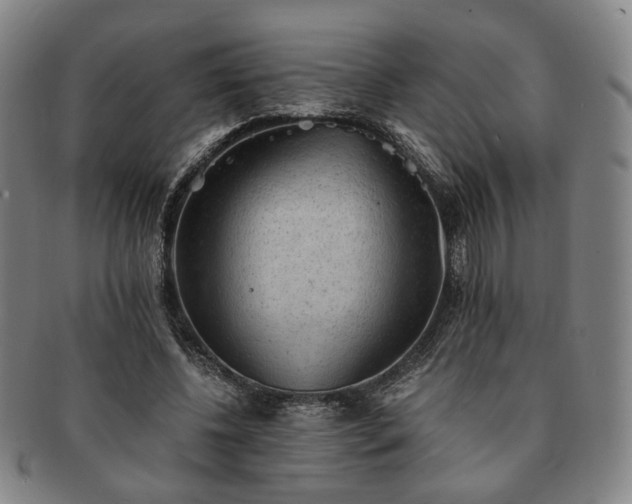 X0000091570540200708271200