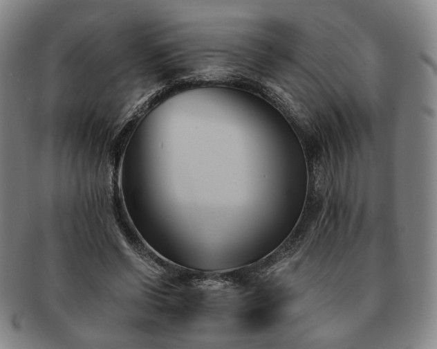 X0000091570542200708271200