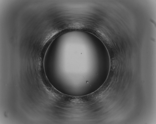 X0000091570544200708271201