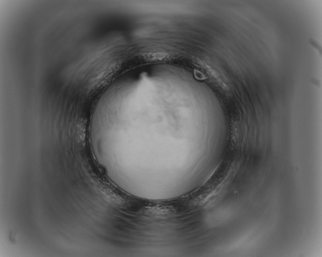 X0000091570545200708271201