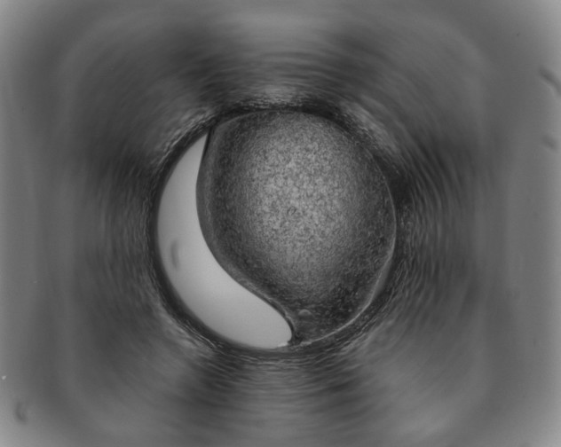 X0000091570546200708271201