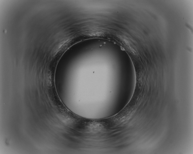 X0000091570547200708271201