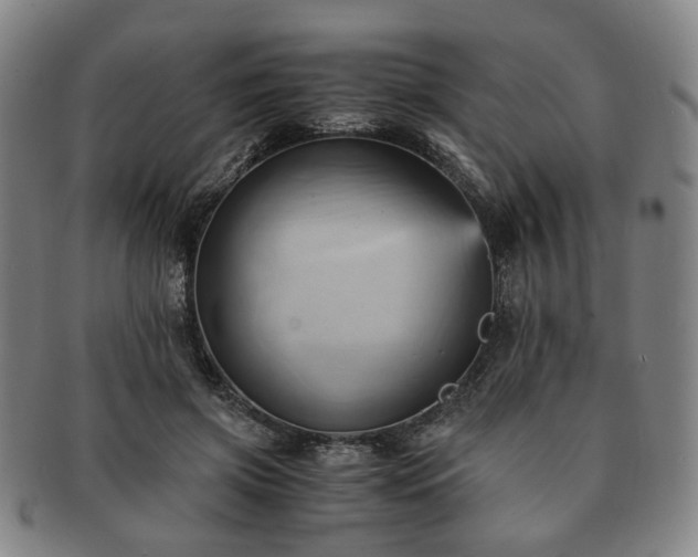 X0000091570549200708271201