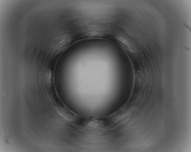X0000091570550200708271201
