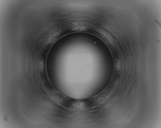 X0000091570551200708271201