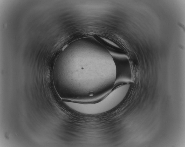 X0000091570552200708271201