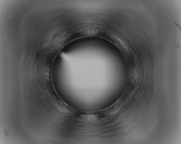 X0000091570553200708271201