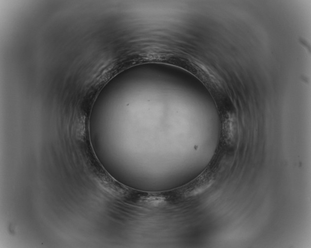 X0000091570554200708271201