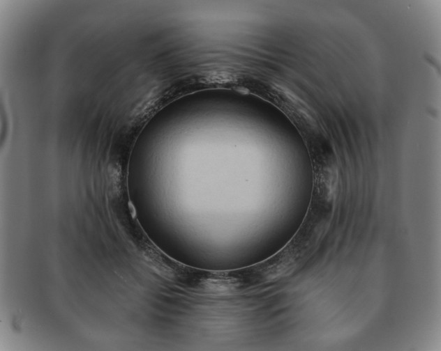 X0000091570556200708271201