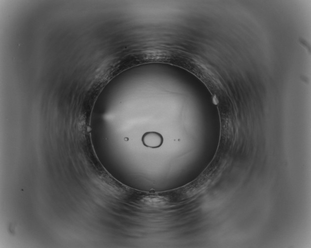 X0000091570557200708271201