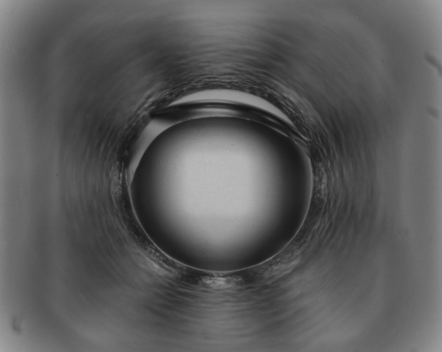 X0000091570558200708271201