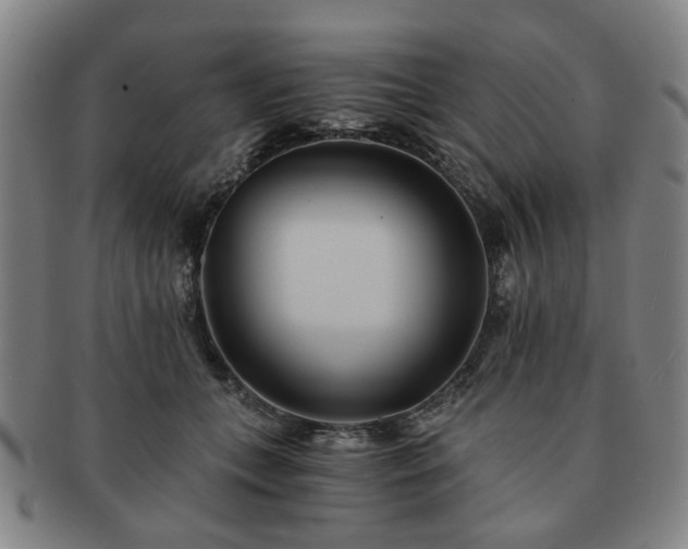 X0000091570559200708271201