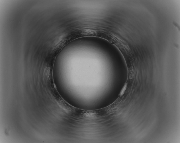 X0000091570560200708271201