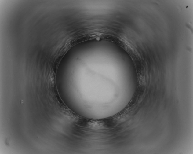 X0000091570561200708271201