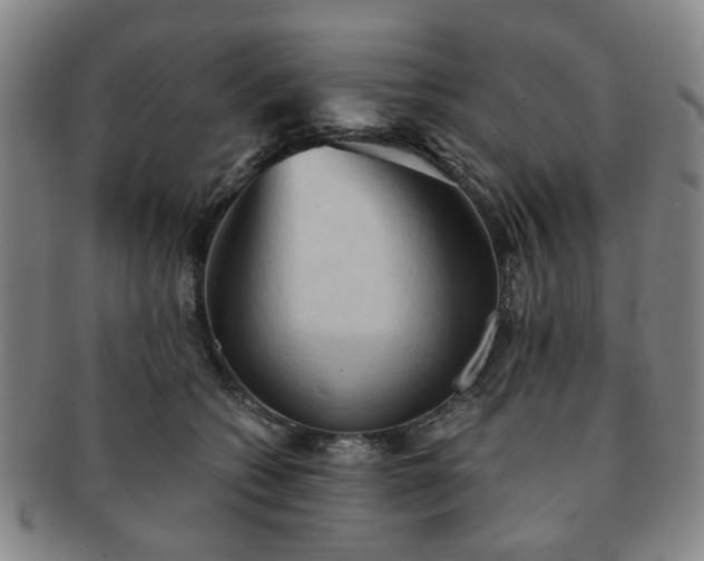 X0000091570562200708271201