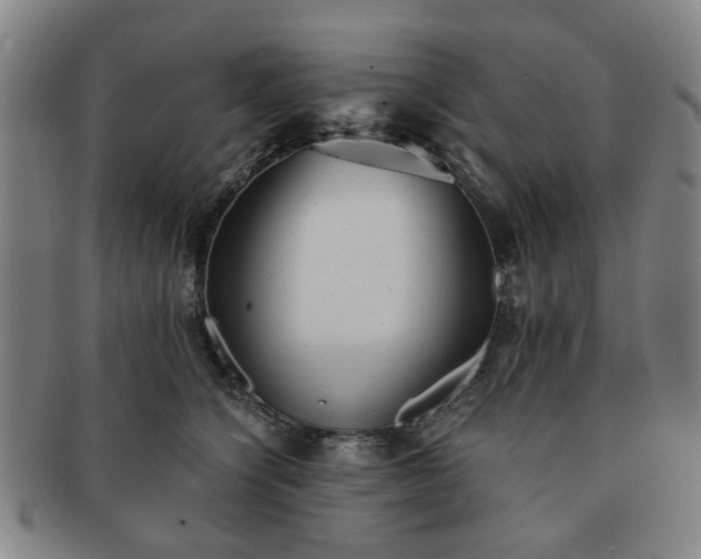 X0000091570564200708271201