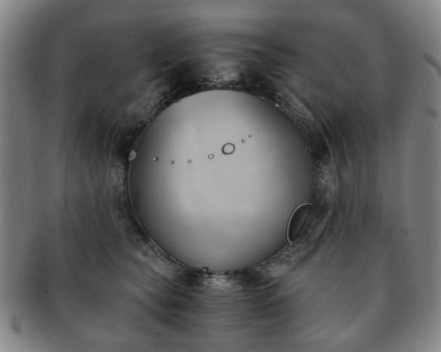 X0000091570565200708271201
