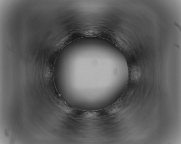 X0000091570569200708271201