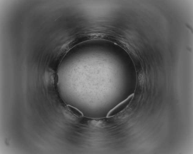 X0000091570570200708271201