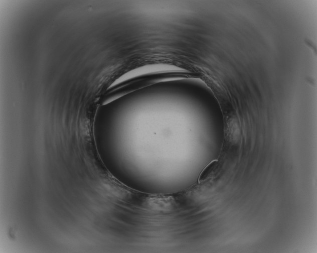 X0000091570571200708271201