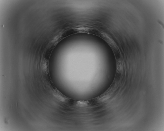 X0000091570573200708271201