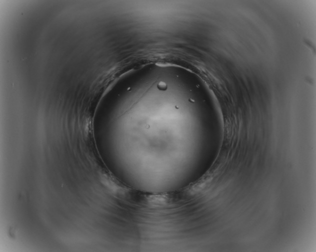 X0000091570574200708271201