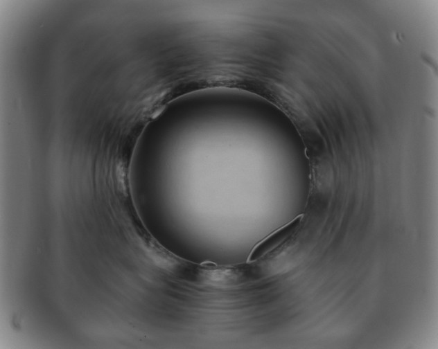 X0000091570575200708271201