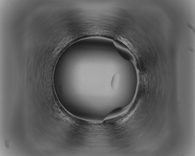 X0000091570577200708271200