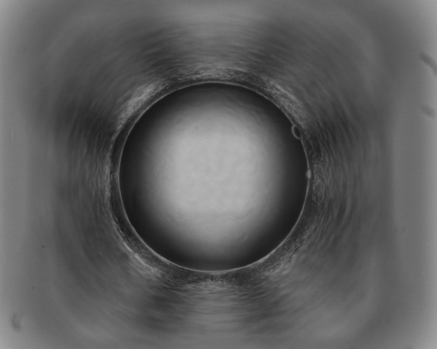X0000091570578200708271200