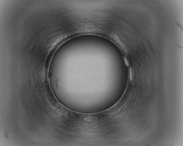 X0000091570579200708271200