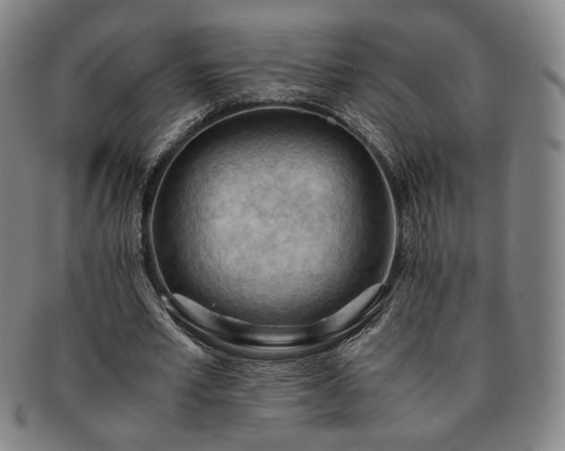X0000091570581200708271200