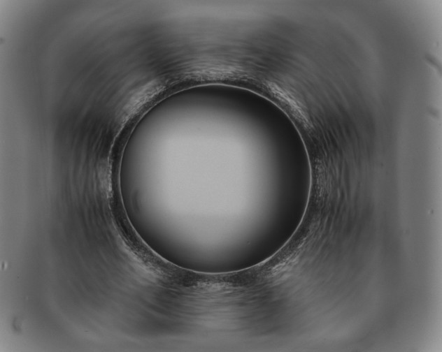 X0000091570582200708271200