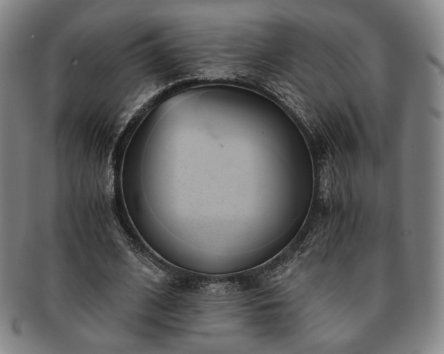 X0000091570584200708271200