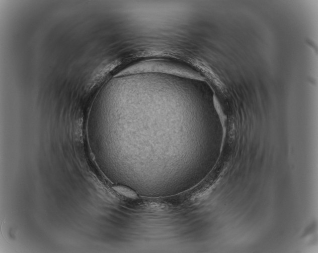 X0000091570585200708271200