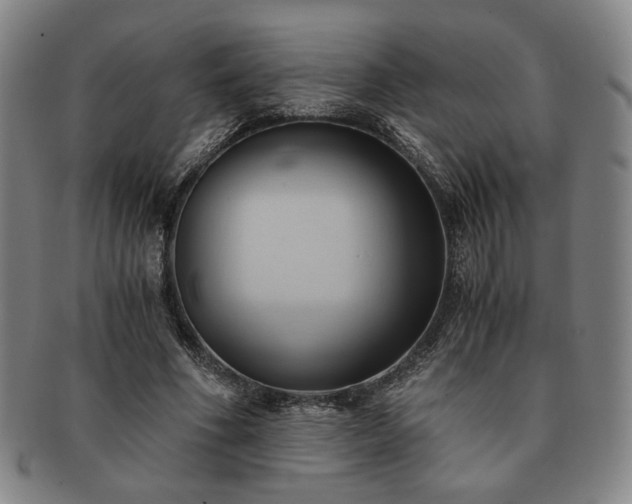 X0000091570586200708271200