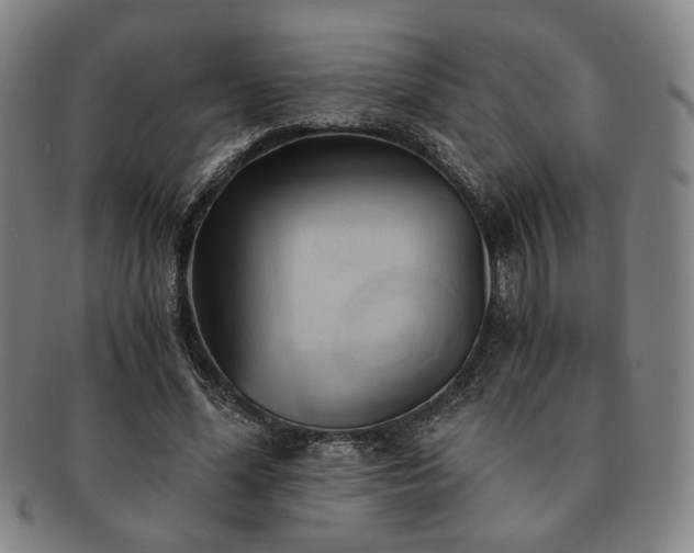 X0000091570588200708271200