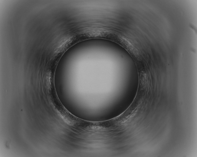 X0000091570590200708271200