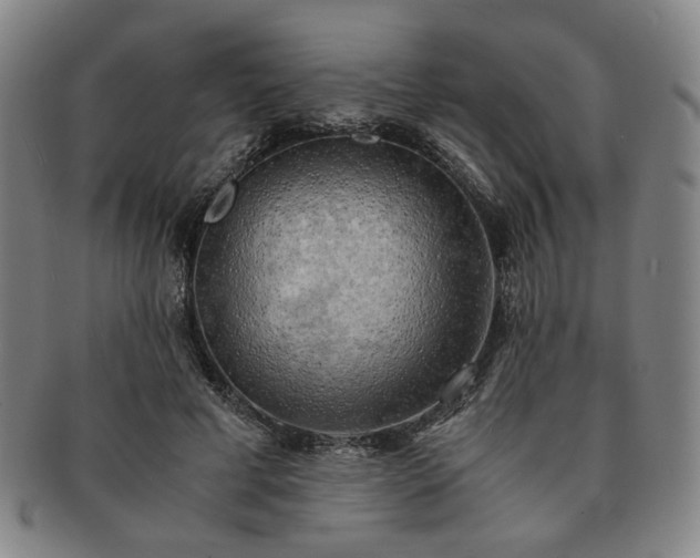 X0000091570593200708271200