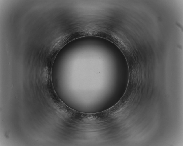 X0000091570594200708271200