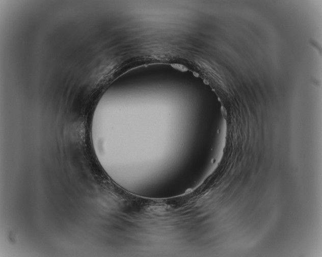 X0000091570595200708271200