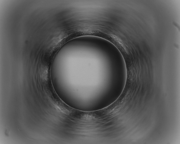 X0000091570596200708271200