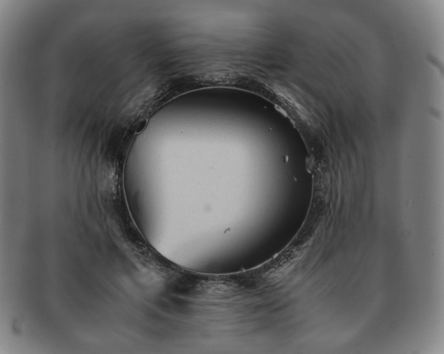 X0000091570597200708271200
