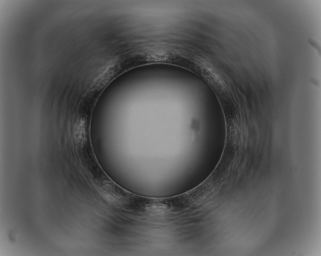 X0000091570598200708271200