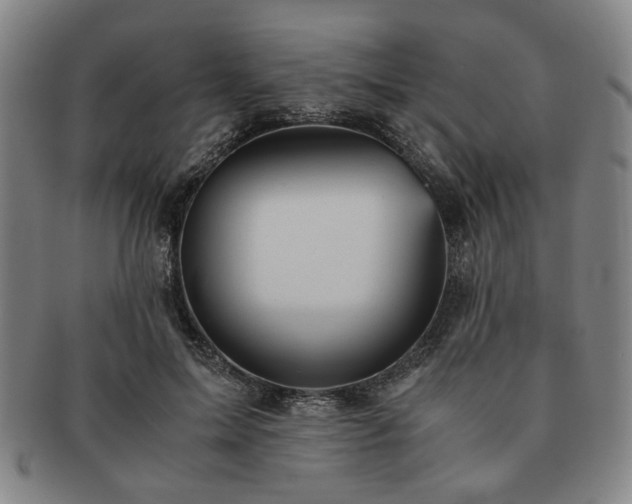 X0000091570599200708271200