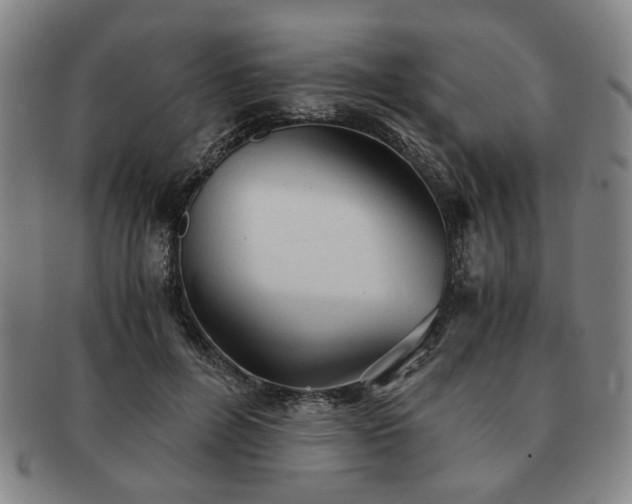 X0000091570600200708271200