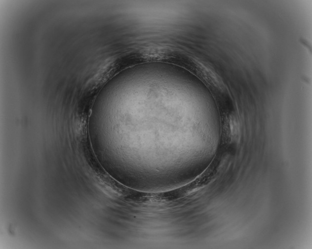 X0000091570601200708271200