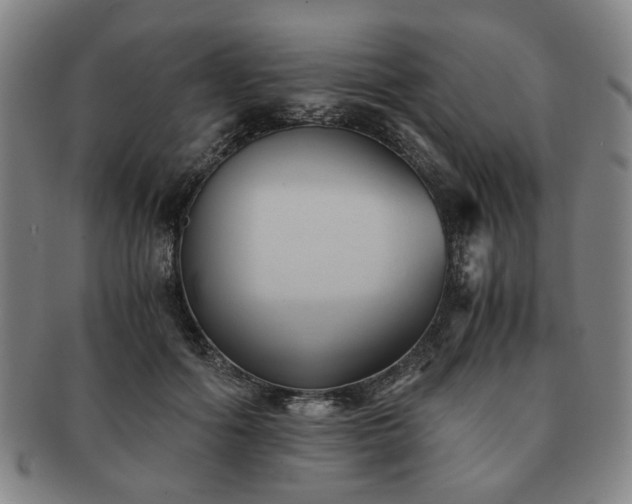 X0000091570602200708271200