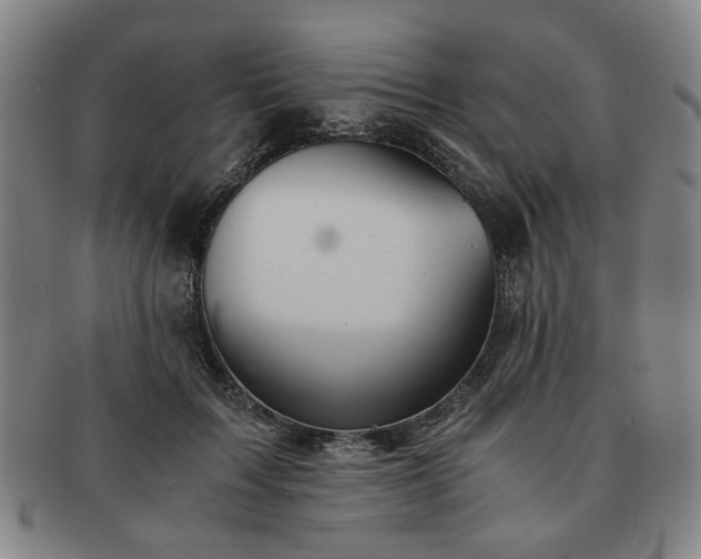 X0000091570603200708271200