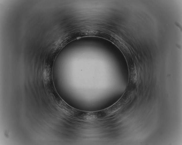 X0000091570604200708271200